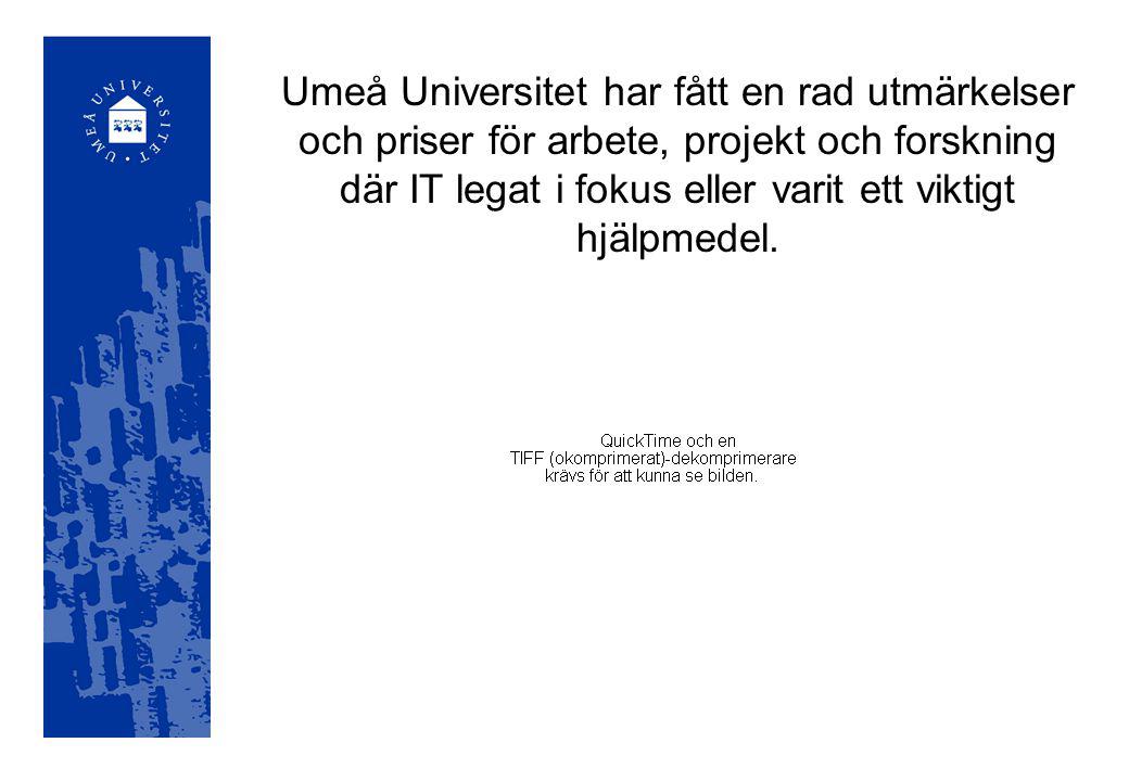 Umeå Universitet har fått en rad utmärkelser och priser för arbete, projekt och forskning där IT legat i fokus eller varit ett viktigt hjälpmedel.