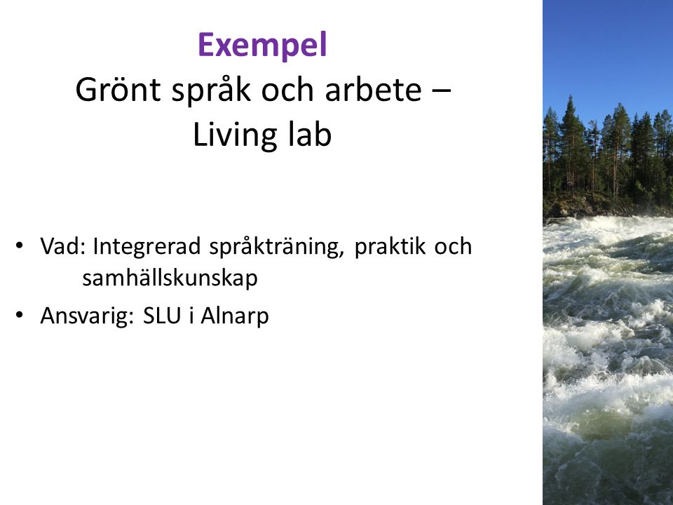 Exempel Grönt språk och arbete – Living lab Vad: Integrerad språkträning, praktik och samhällskunskap Ansvarig: SLU i Alnarp
