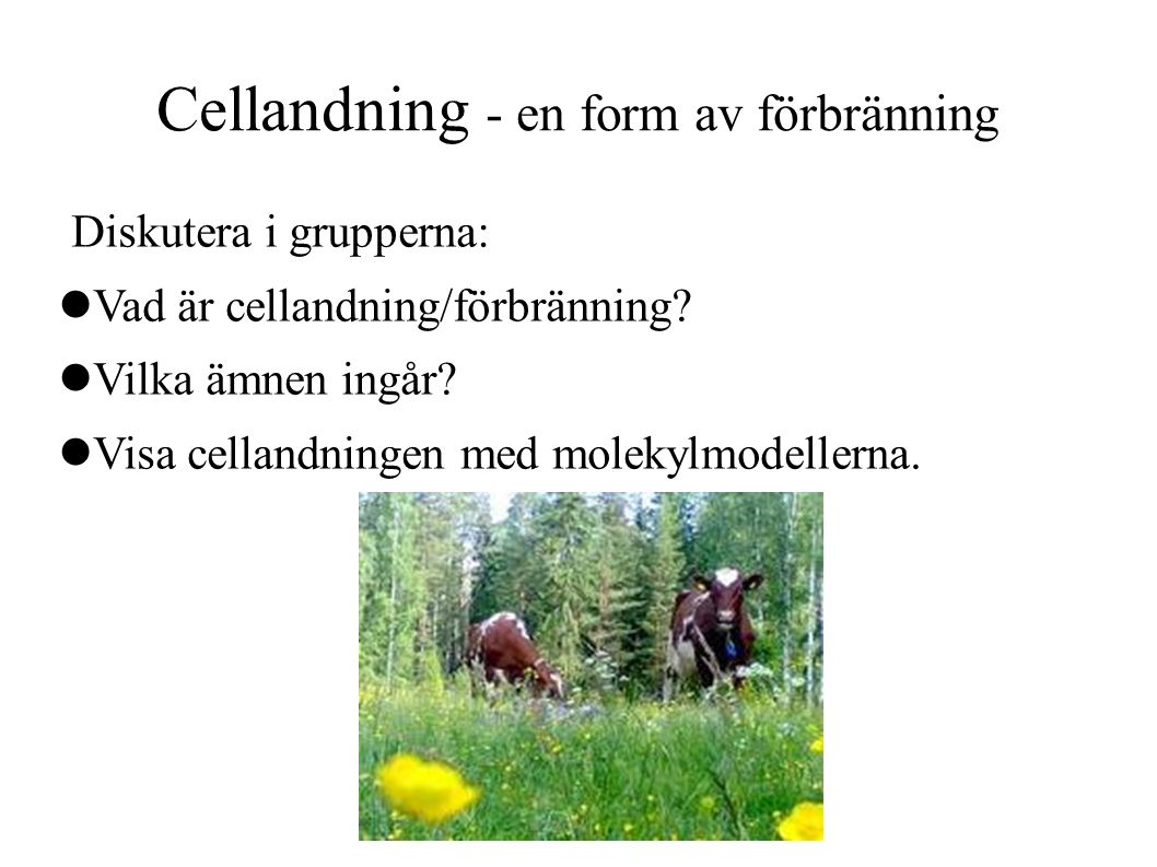 Cellandning - en form av förbränning Diskutera i grupperna: Vad är cellandning/förbränning.