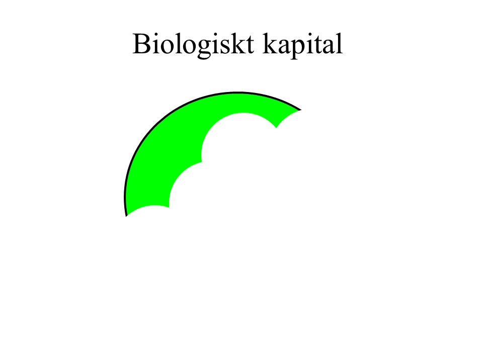 Biologiskt kapital