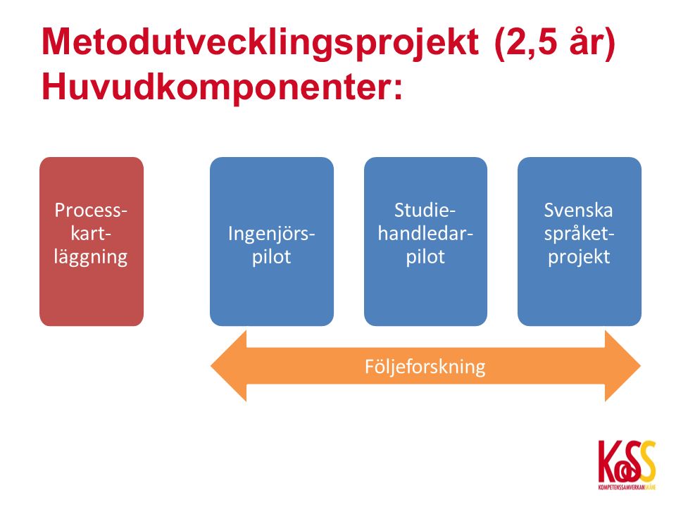Metodutvecklingsprojekt (2,5 år) Huvudkomponenter: Ingenjörs- pilot Studie- handledar- pilot Svenska språket- projekt Följeforskning Process- kart- läggning