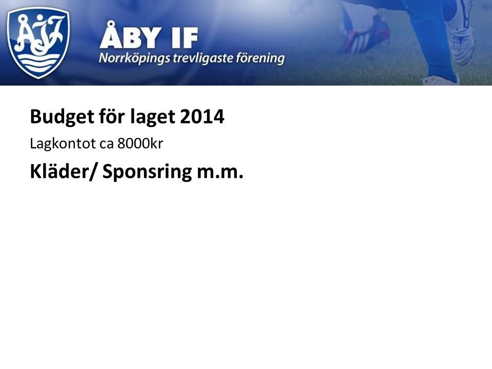 Budget för laget 2014 Lagkontot ca 8000kr Kläder/ Sponsring m.m.