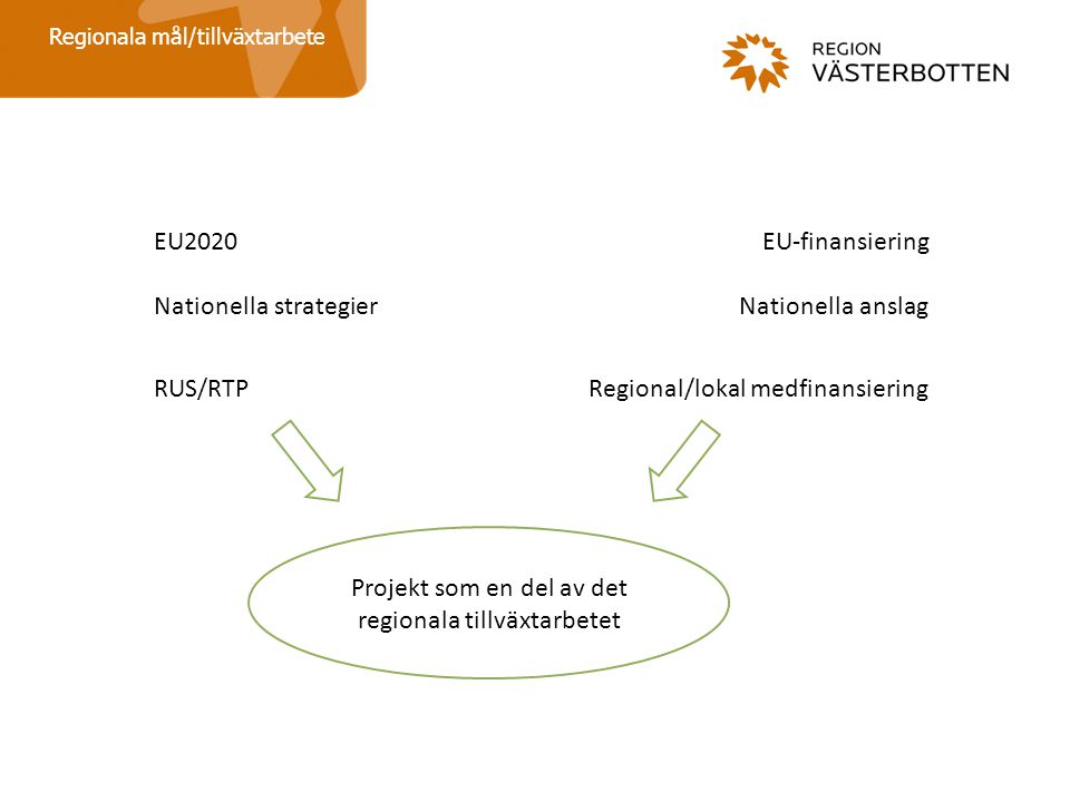 Regionala mål/tillväxtarbete EU2020 Nationella strategier RUS/RTP EU-finansiering Nationella anslag Regional/lokal medfinansiering Projekt som en del av det regionala tillväxtarbetet