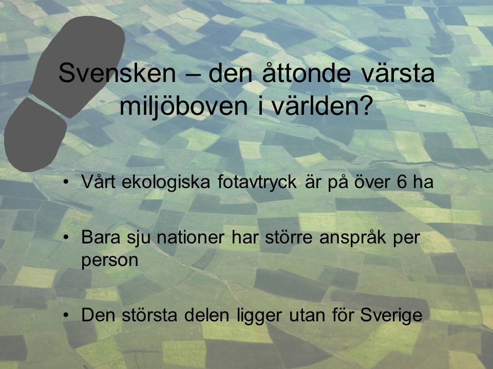 Svensken – den åttonde värsta miljöboven i världen.