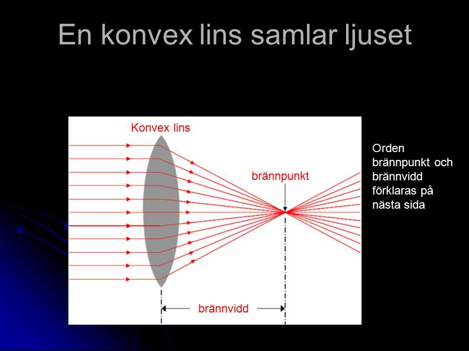 En konvex lins samlar ljuset Konvex lins brännpunkt brännvidd Orden brännpunkt och brännvidd förklaras på nästa sida