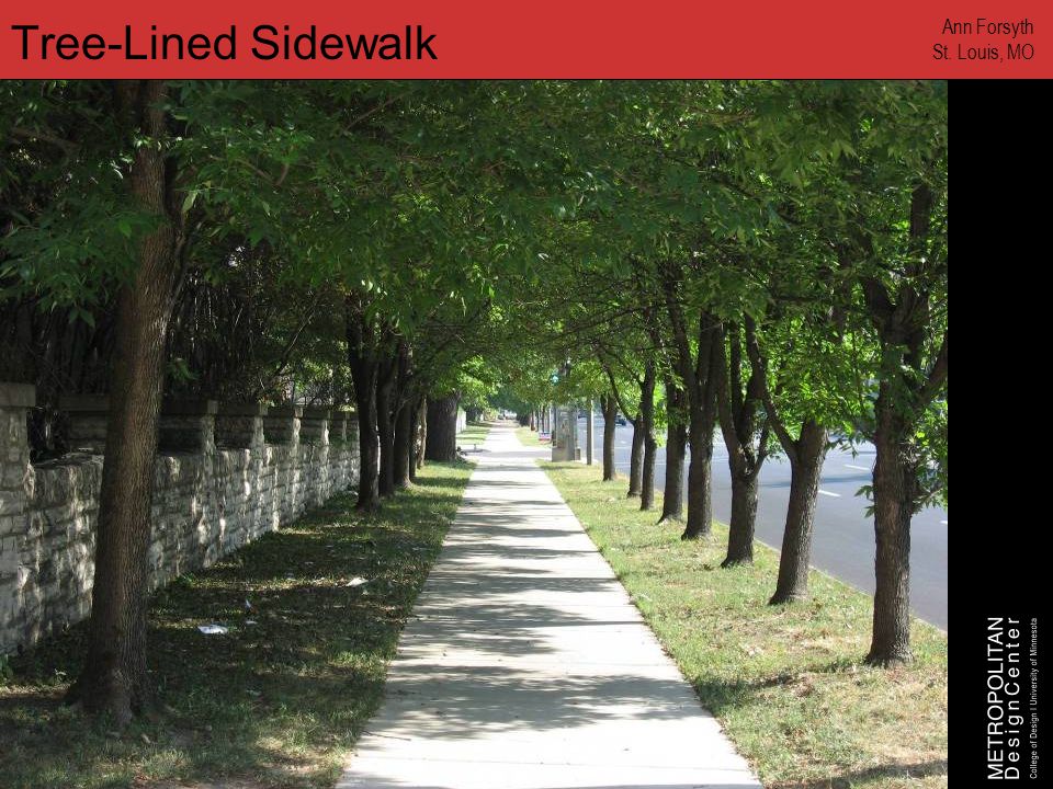 Tree-Lined Sidewalk Ann Forsyth St. Louis, MO