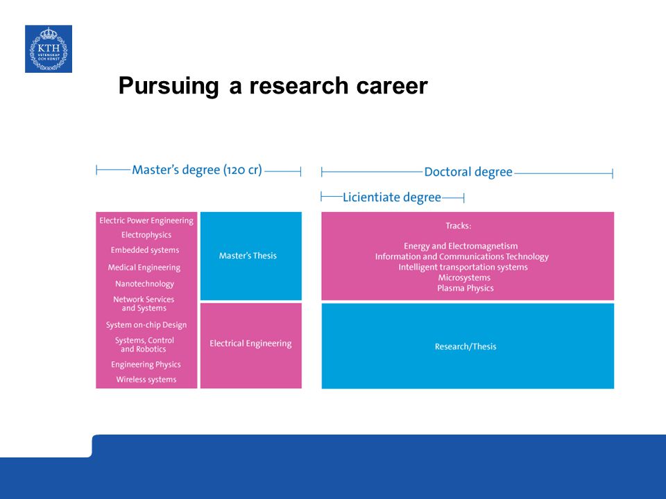 Pursuing a research career