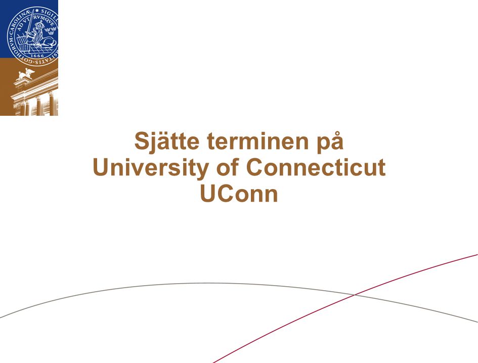 Sjätte terminen på University of Connecticut UConn