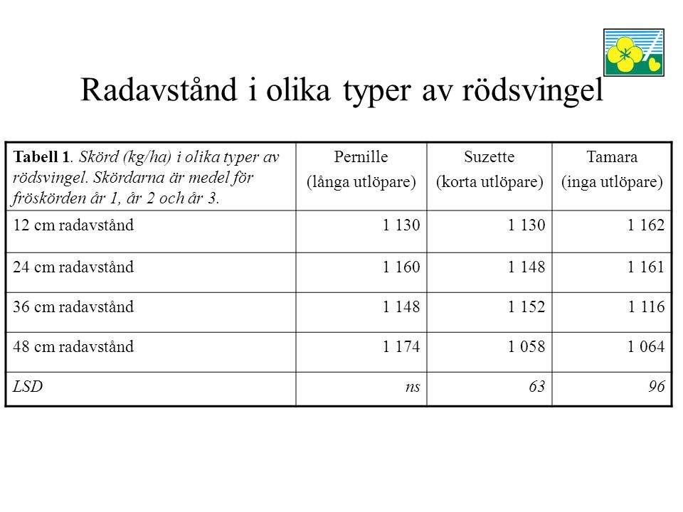 Radavstånd i olika typer av rödsvingel Tabell 1. Skörd (kg/ha) i olika typer av rödsvingel.