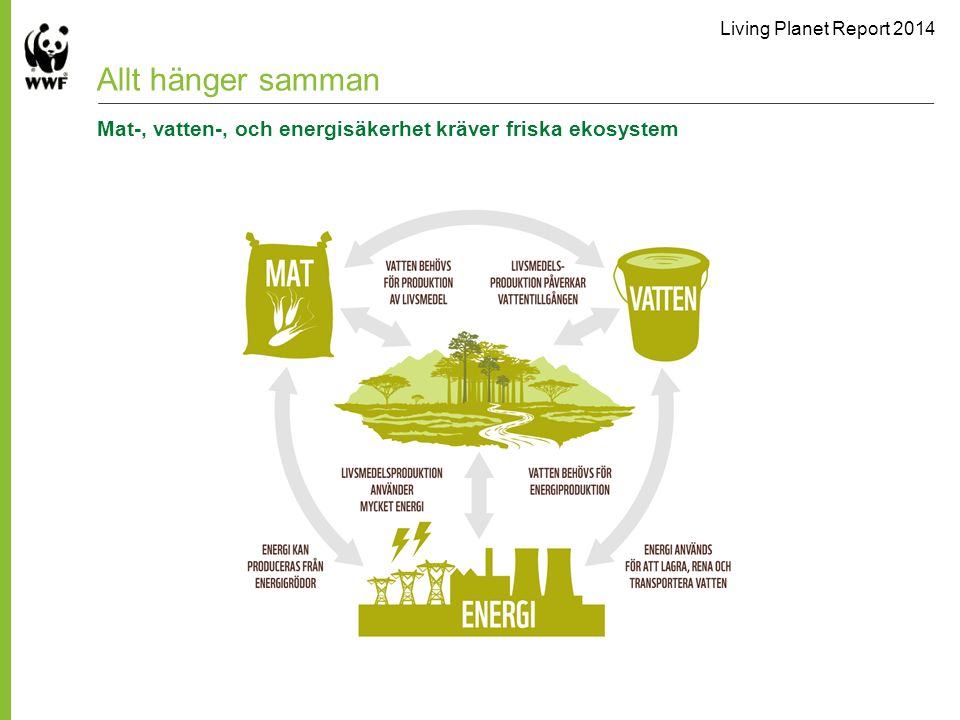 Allt hänger samman Mat-, vatten-, och energisäkerhet kräver friska ekosystem
