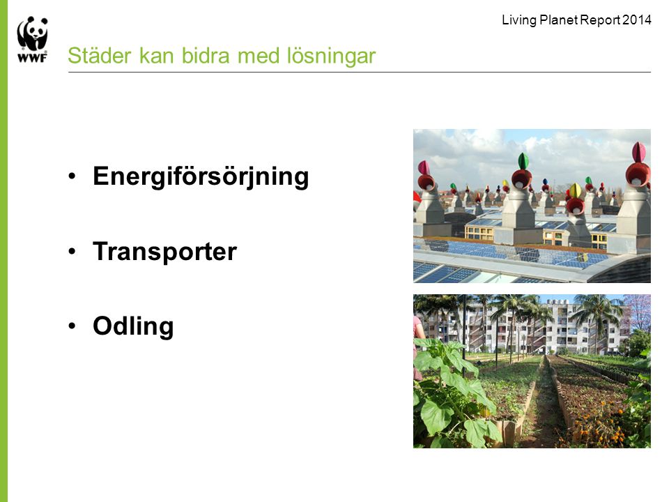 Living Planet Report 2014 Städer kan bidra med lösningar Energiförsörjning Transporter Odling