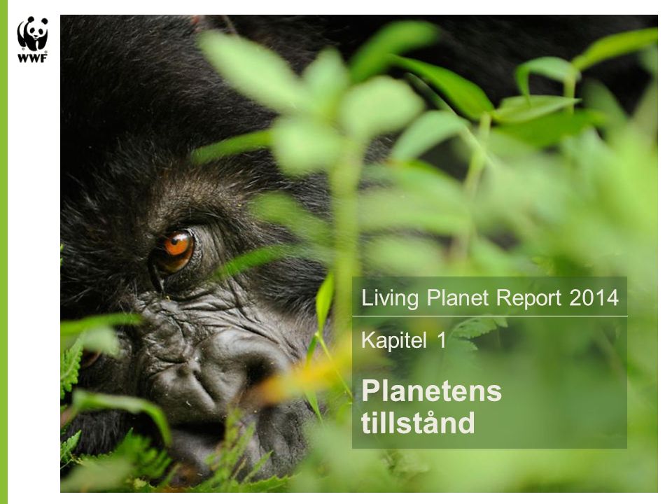 Living Planet Report 2014 Sammanfattning av Världsnaturfonden WWFs Kapitel 1 Planetens tillstånd Living Planet Report 2014 Kapitel 1 Planetens tillstånd Living Planet Report 2014