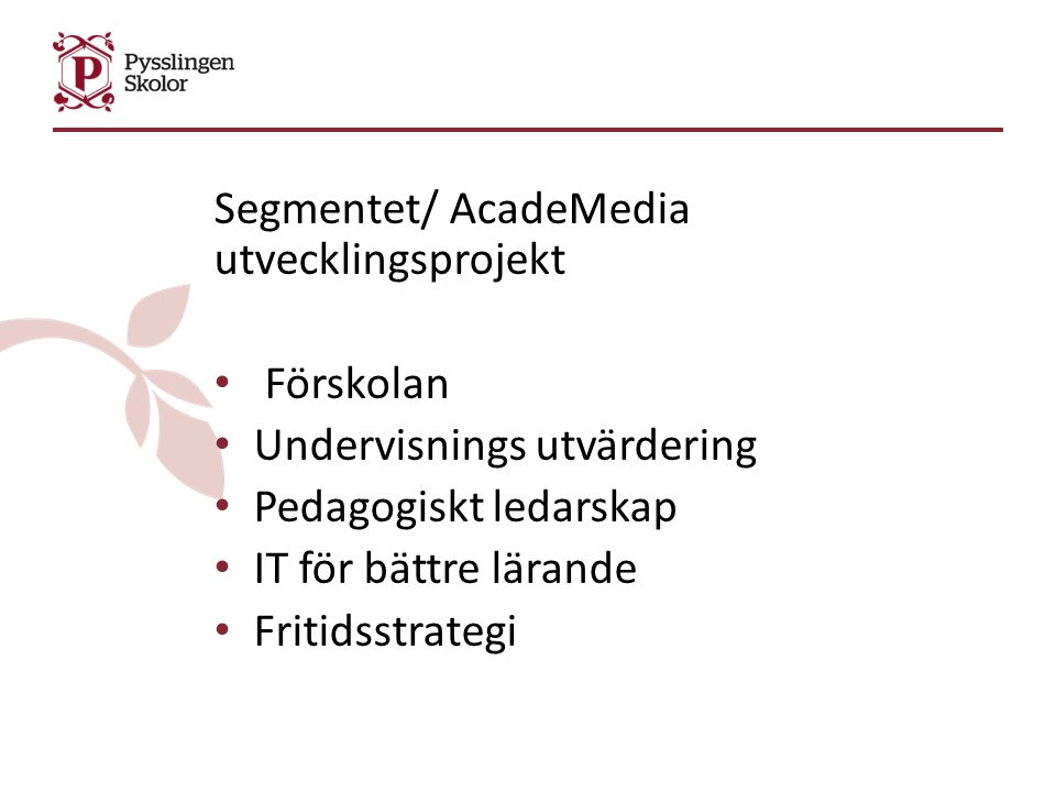Segmentet/ AcadeMedia utvecklingsprojekt Förskolan Undervisnings utvärdering Pedagogiskt ledarskap IT för bättre lärande Fritidsstrategi