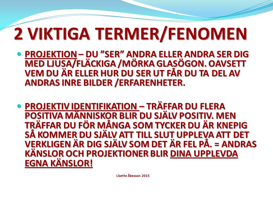 2 VIKTIGA TERMER/FENOMEN PROJEKTION – DU SER ANDRA ELLER ANDRA SER DIG MED LJUSA/FLÄCKIGA /MÖRKA GLASÖGON.