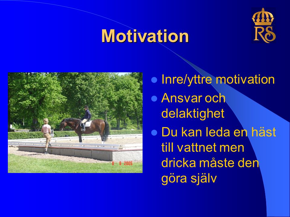 Motivation Inre/yttre motivation Ansvar och delaktighet Du kan leda en häst till vattnet men dricka måste den göra själv