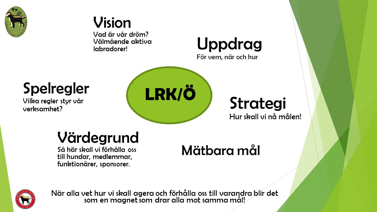 LRK/Ö Strategi Hur skall vi nå målen.