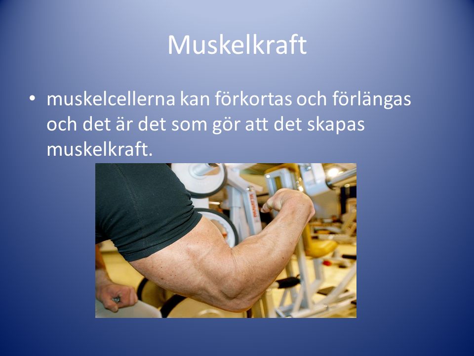 Muskelkraft muskelcellerna kan förkortas och förlängas och det är det som gör att det skapas muskelkraft.