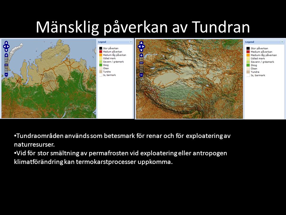 Mänsklig påverkan av Tundran Tundraområden används som betesmark för renar och för exploatering av naturresurser.