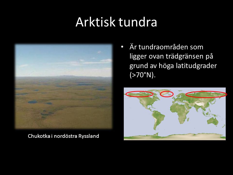 Arktisk tundra Är tundraområden som ligger ovan trädgränsen på grund av höga latitudgrader (>70°N).