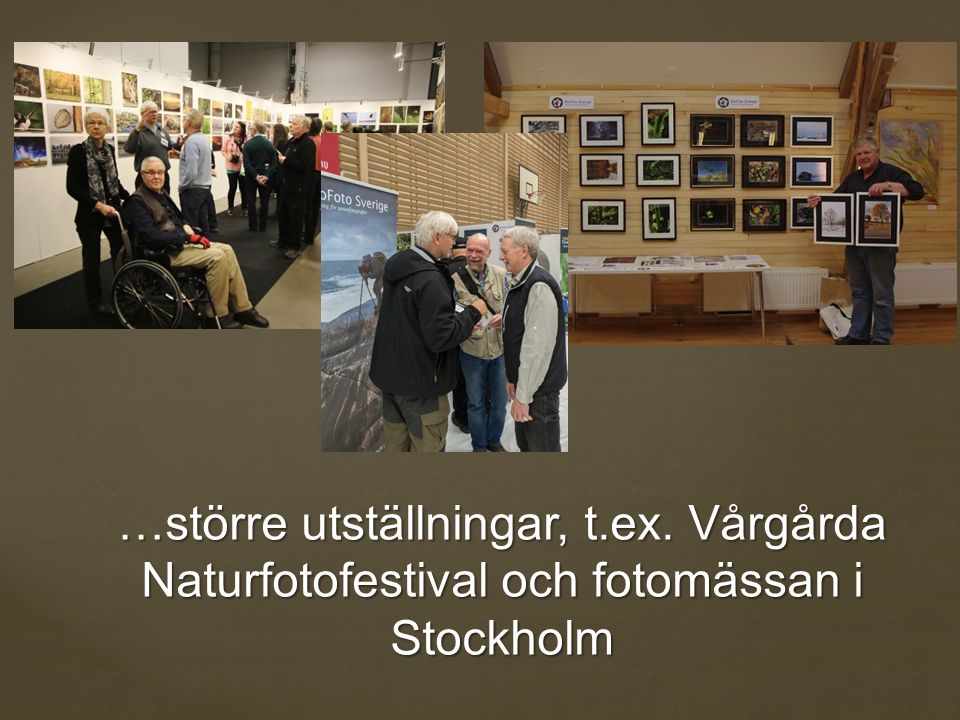 …större utställningar, t.ex. Vårgårda Naturfotofestival och fotomässan i Stockholm