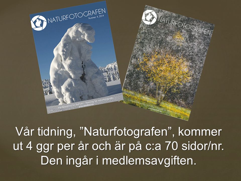Vår tidning, Naturfotografen , kommer ut 4 ggr per år och är på c:a 70 sidor/nr.