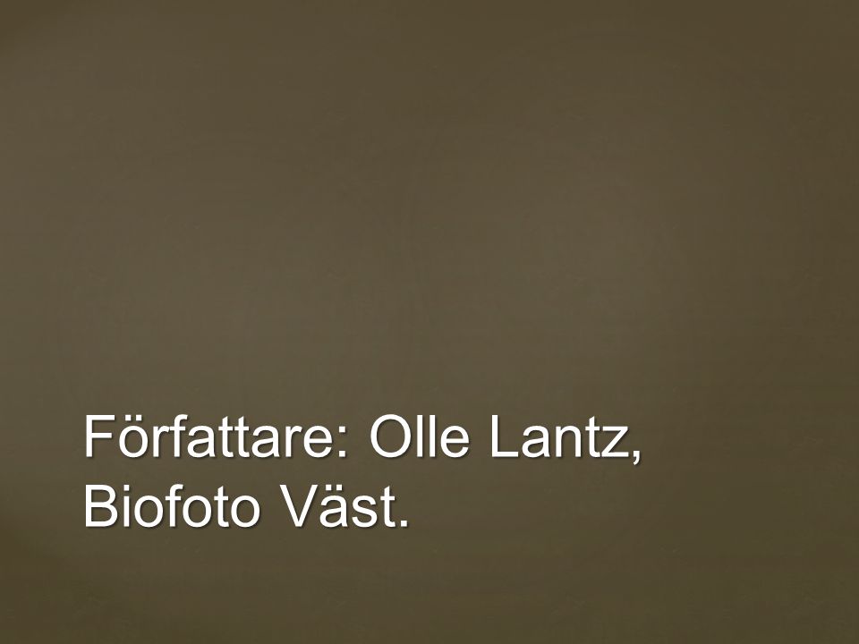 Författare: Olle Lantz, Biofoto Väst.
