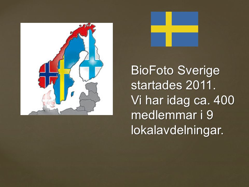 BioFoto Sverige startades Vi har idag ca. 400 medlemmar i 9 lokalavdelningar.