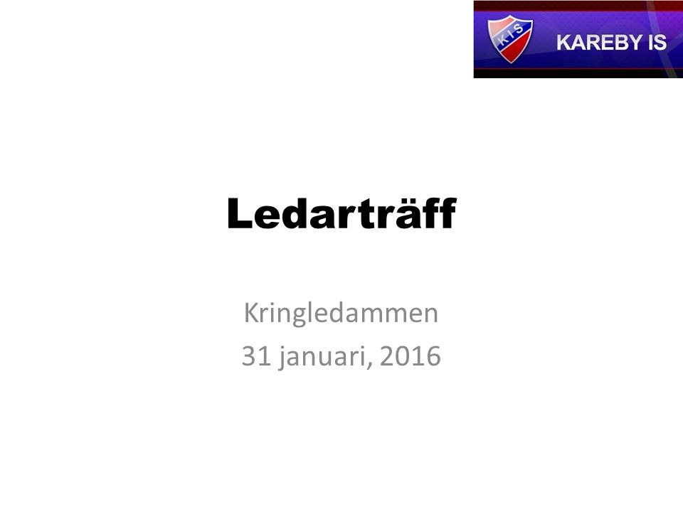 Ledarträff Kringledammen 31 januari, 2016
