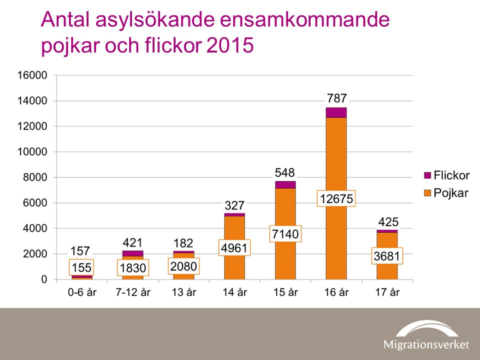 Antal asylsökande ensamkommande pojkar och flickor 2015