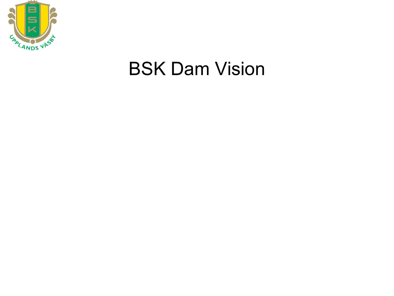 BSK Dam Vision