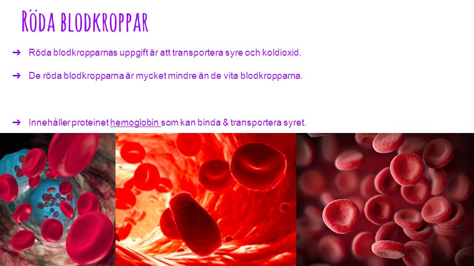 Röda blodkroppar ➔ Röda blodkropparnas uppgift är att transportera syre och koldioxid.