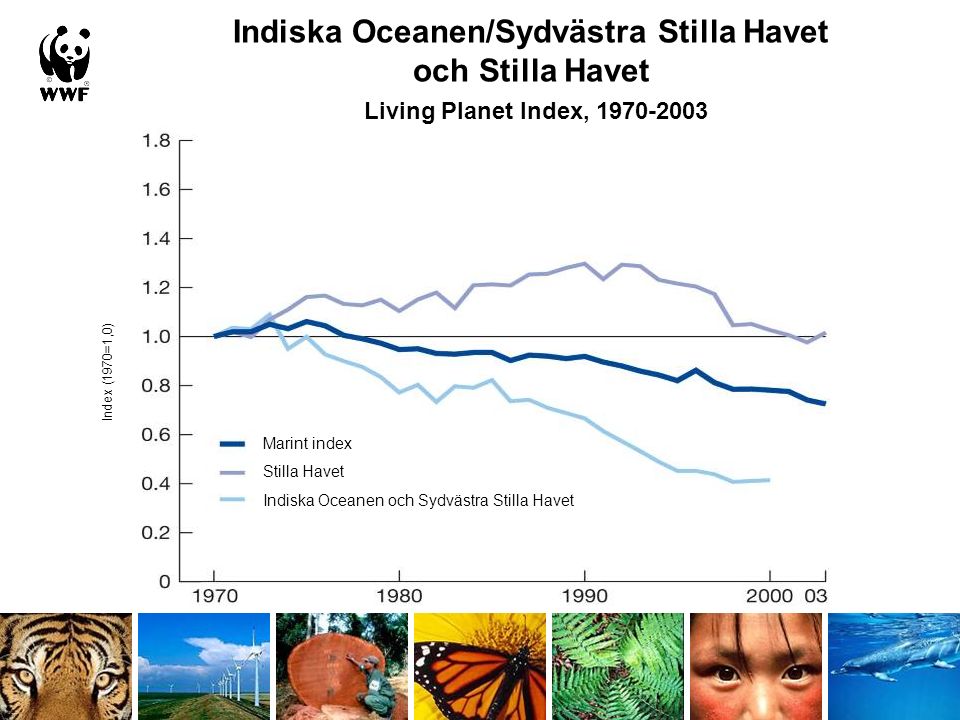 Indiska Oceanen/Sydvästra Stilla Havet och Stilla Havet Living Planet Index, Marint index Stilla Havet Indiska Oceanen och Sydvästra Stilla Havet Index (1970=1,0)