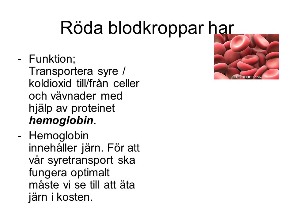 Röda blodkroppar har -Funktion; Transportera syre / koldioxid till/från celler och vävnader med hjälp av proteinet hemoglobin.