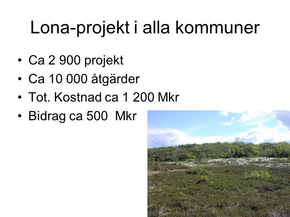Lona-projekt i alla kommuner Ca projekt Ca åtgärder Tot.