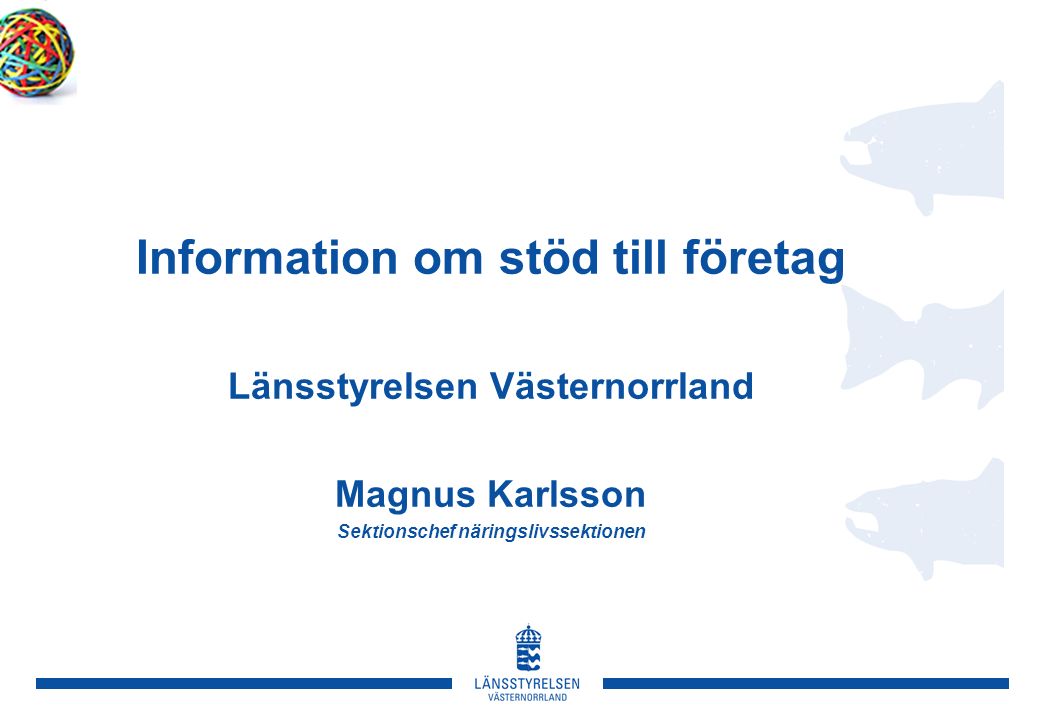 Information om stöd till företag Länsstyrelsen Västernorrland Magnus Karlsson Sektionschef näringslivssektionen