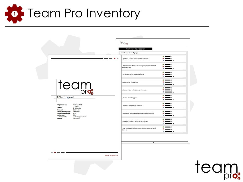 Team Pro Inventory