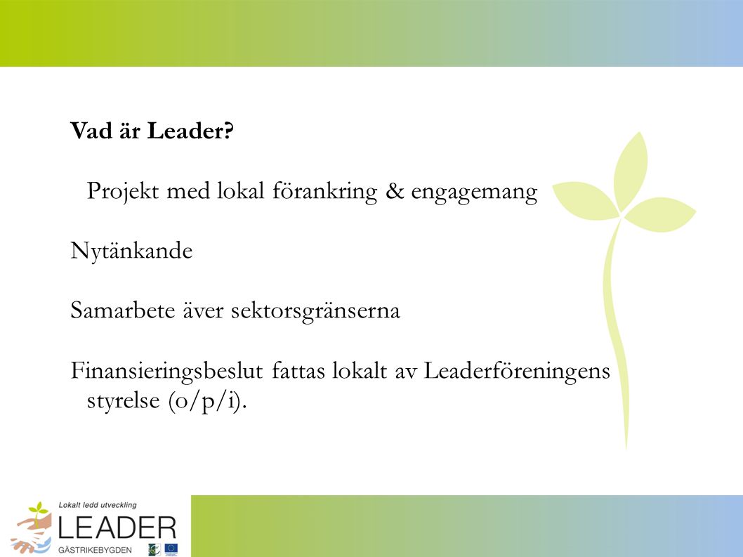 Vad är Leader.