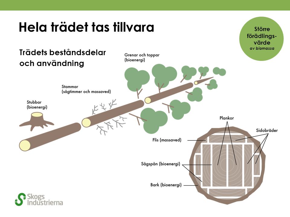 Hela trädet tas tillvara Trädets beståndsdelar och användning Större förädlings- värde av biomassa