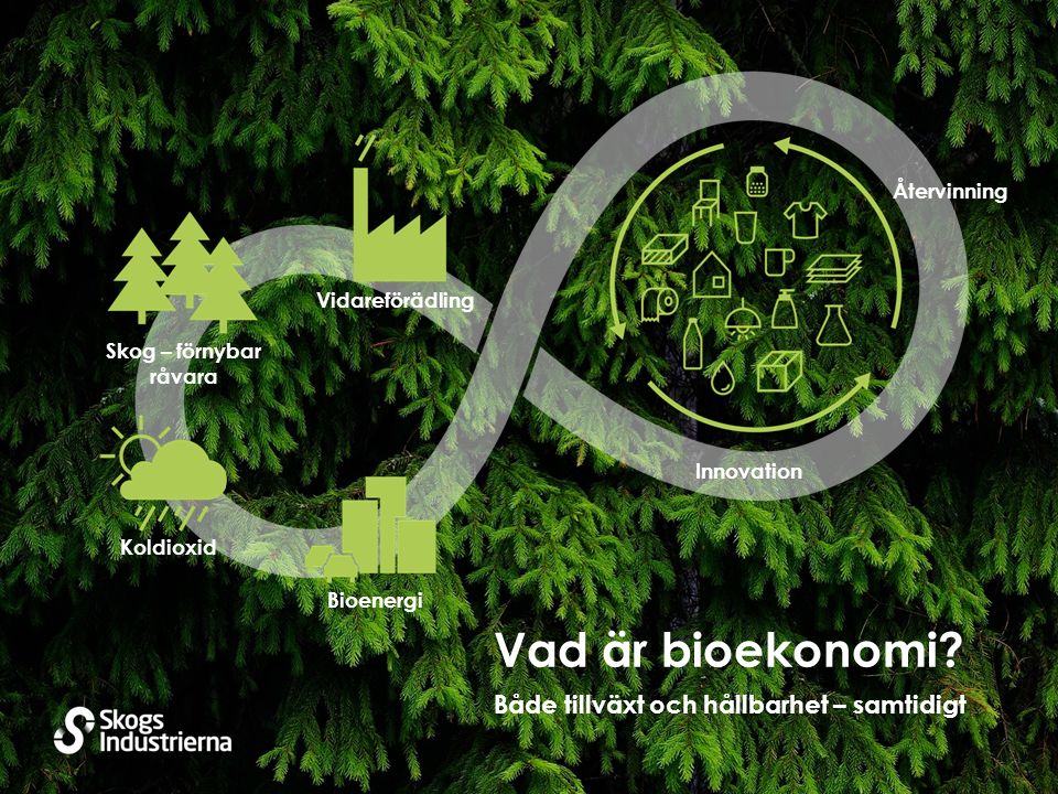 Bioenergi Koldioxid Skog – förnybar råvara Vidareförädling Återvinning Innovation Både tillväxt och hållbarhet – samtidigt Vad är bioekonomi