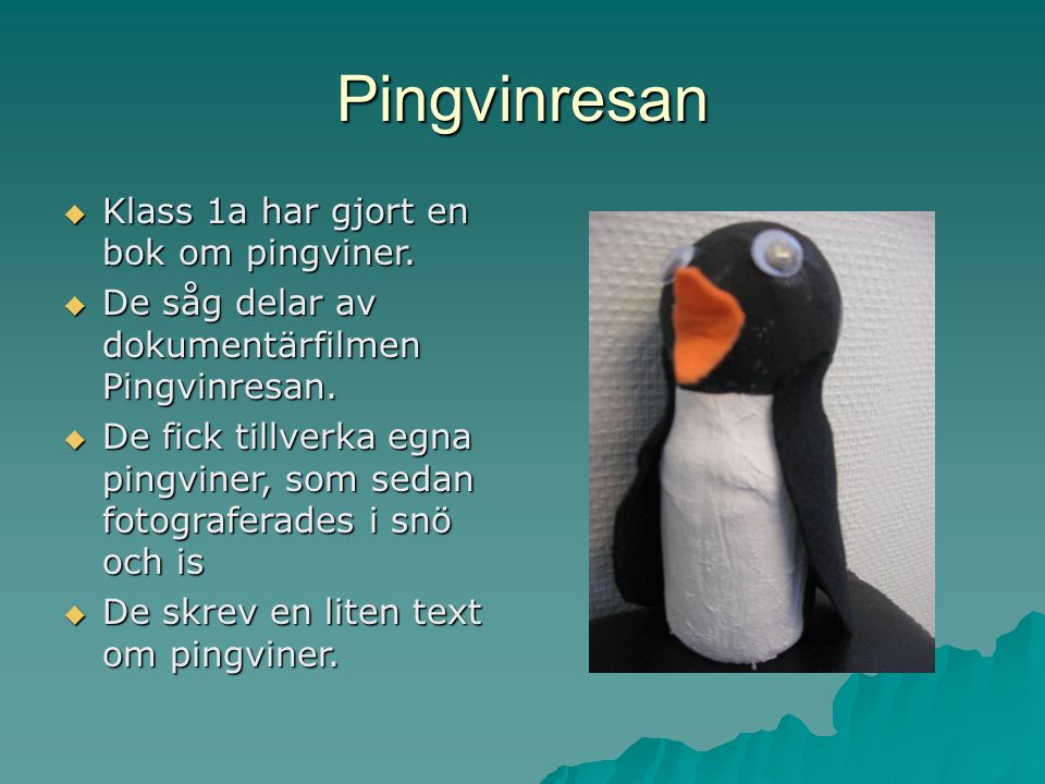 Pingvinresan  Klass 1a har gjort en bok om pingviner.