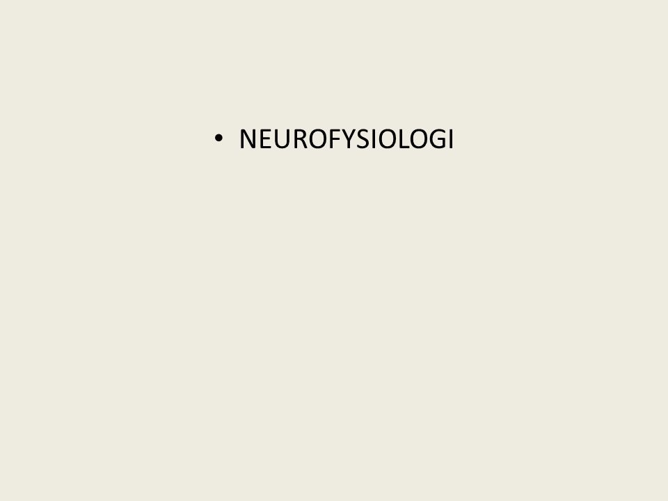 NEUROFYSIOLOGI
