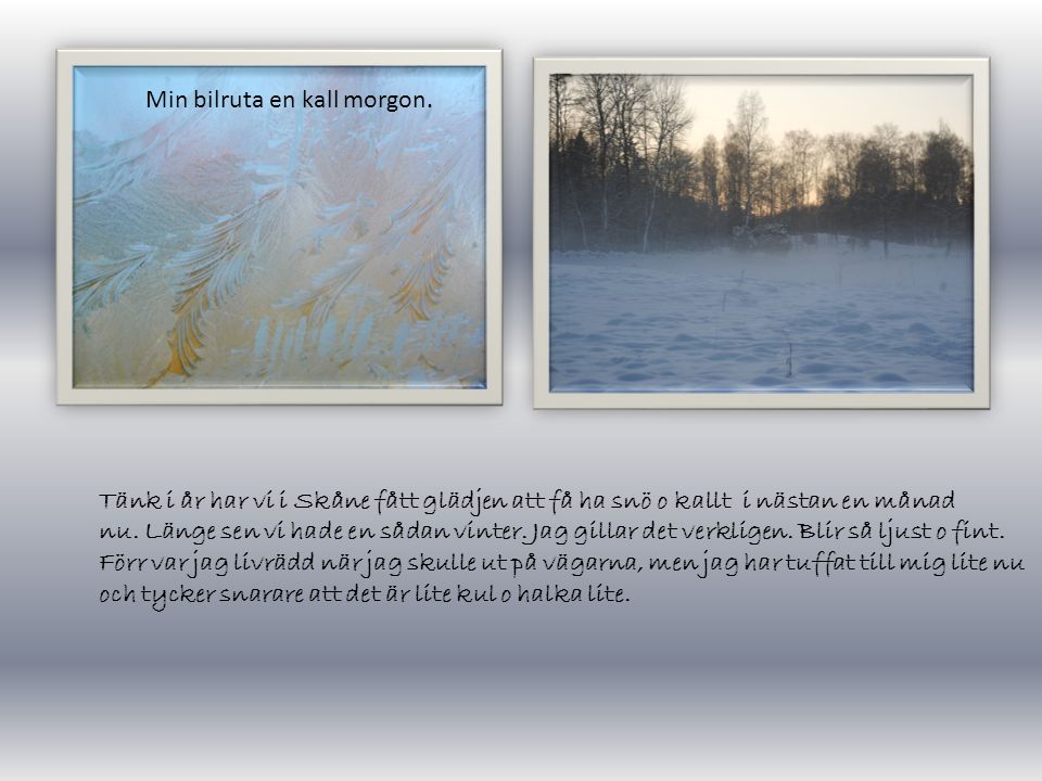 Tänk i år har vi i Skåne fått glädjen att få ha snö o kallt i nästan en månad nu.