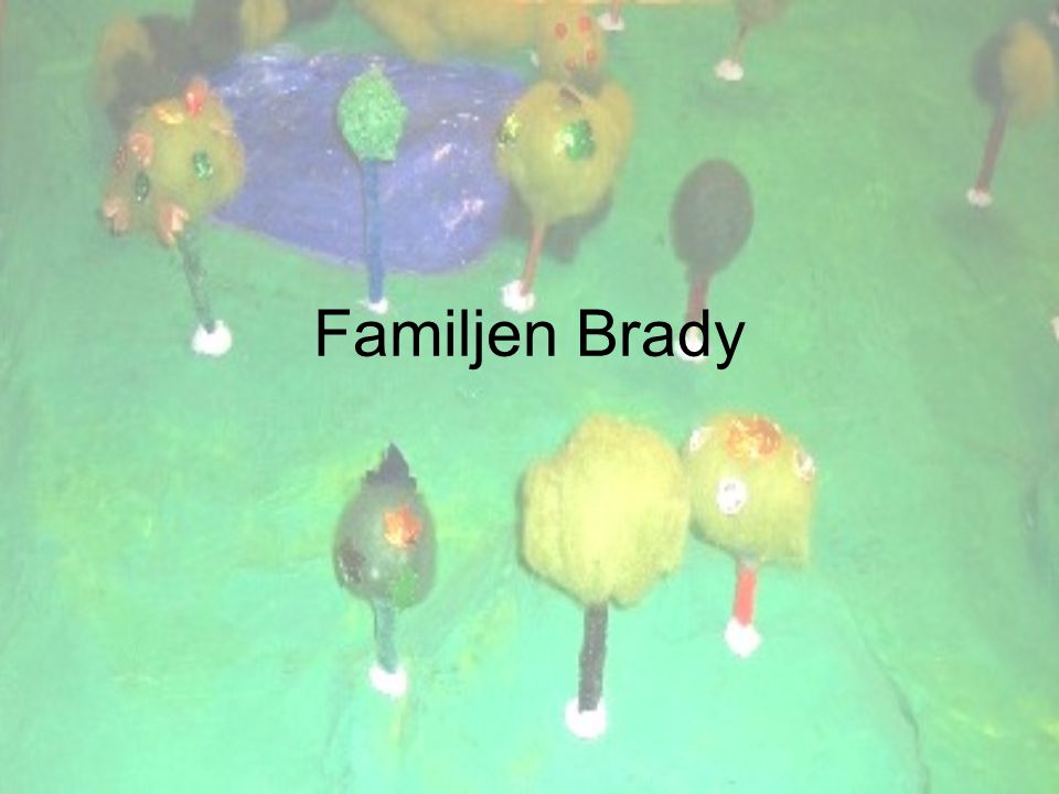 Familjen Brady
