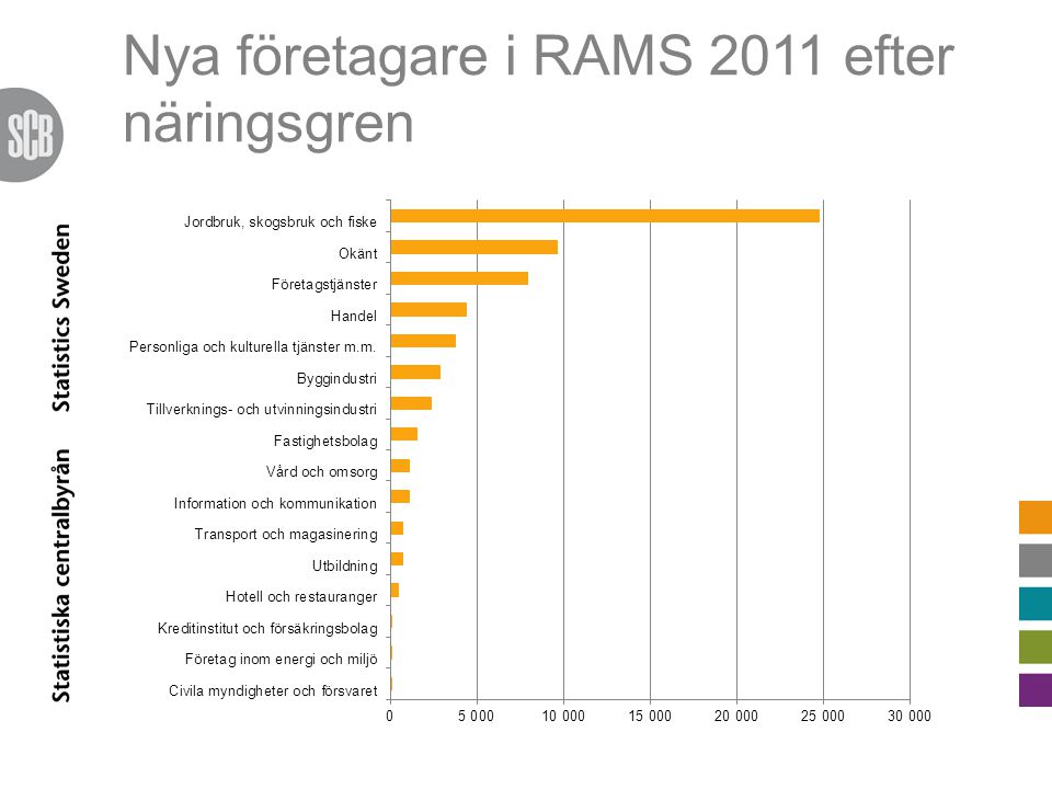 Nya företagare i RAMS 2011 efter näringsgren