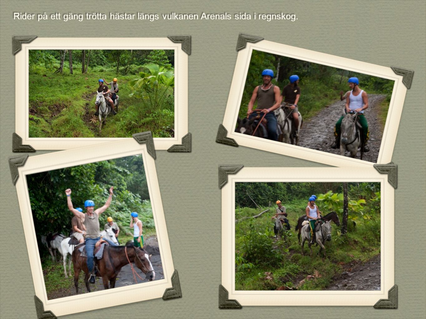 Rider på ett gäng trötta hästar längs vulkanen Arenals sida i regnskog.