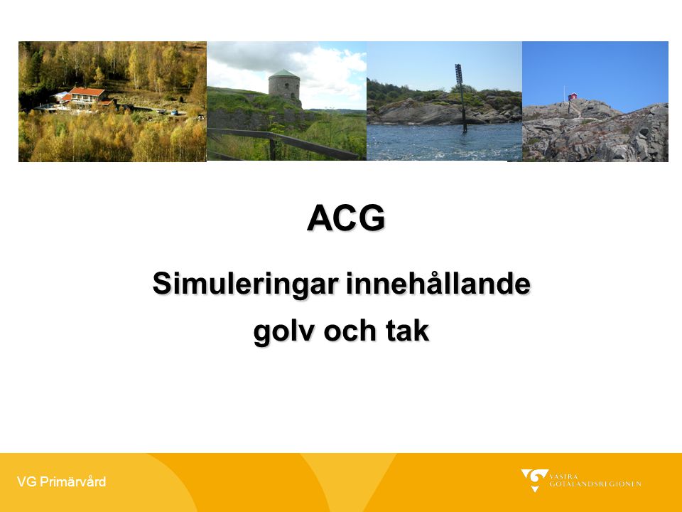 VG Primärvård ACG ACG Simuleringar innehållande golv och tak