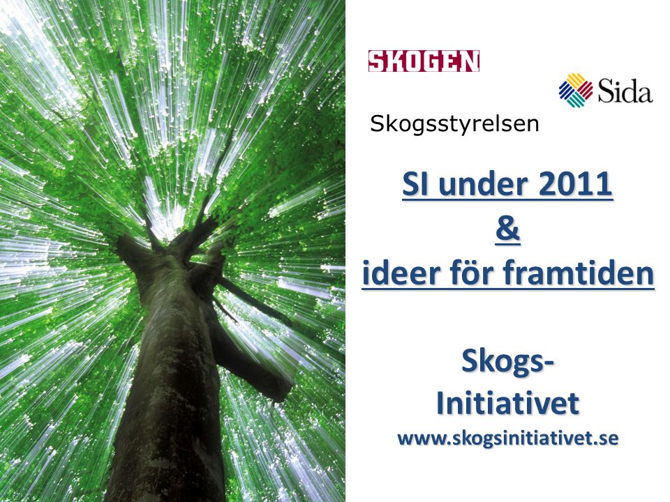 SI under 2011 & ideer för framtiden Skogs- Initiativet   Skogsstyrelsen