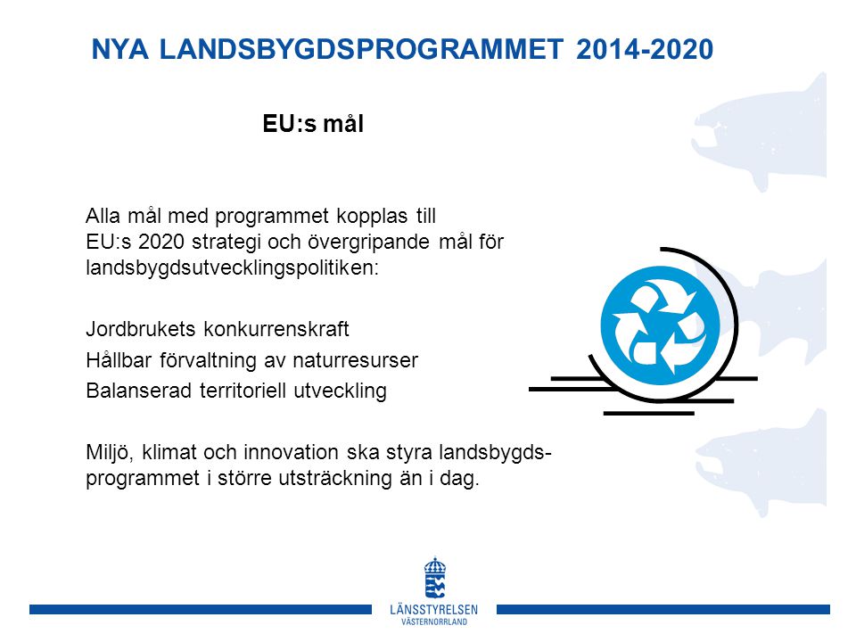 NYA LANDSBYGDSPROGRAMMET Alla mål med programmet kopplas till EU:s 2020 strategi och övergripande mål för landsbygdsutvecklingspolitiken: Jordbrukets konkurrenskraft Hållbar förvaltning av naturresurser Balanserad territoriell utveckling Miljö, klimat och innovation ska styra landsbygds- programmet i större utsträckning än i dag.