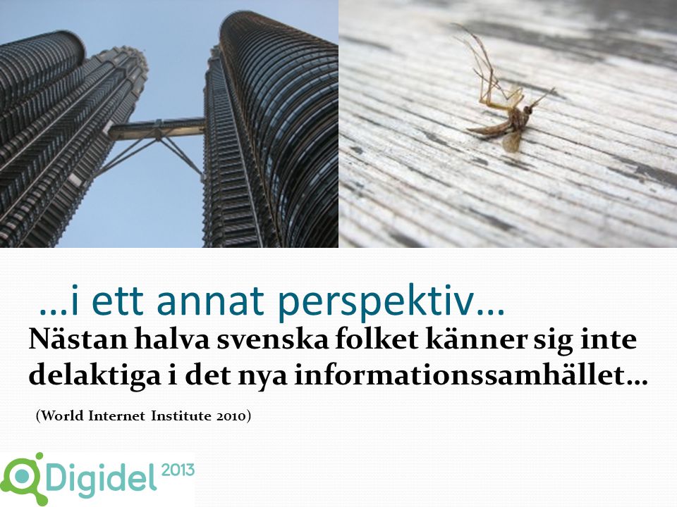 …i ett annat perspektiv… Nästan halva svenska folket känner sig inte delaktiga i det nya informationssamhället… (World Internet Institute 2010)