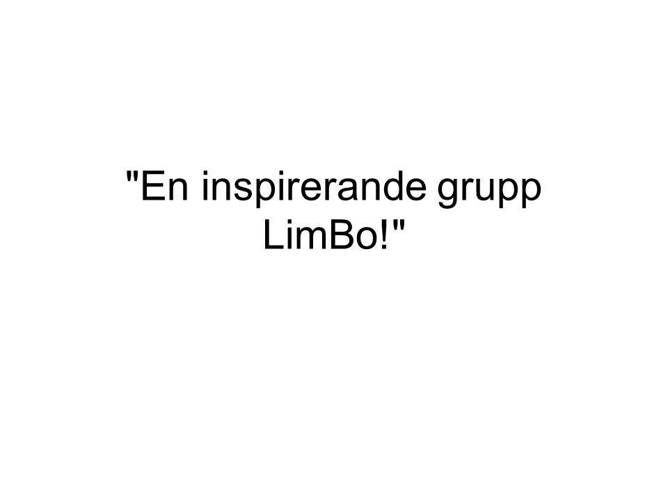 En inspirerande grupp LimBo!